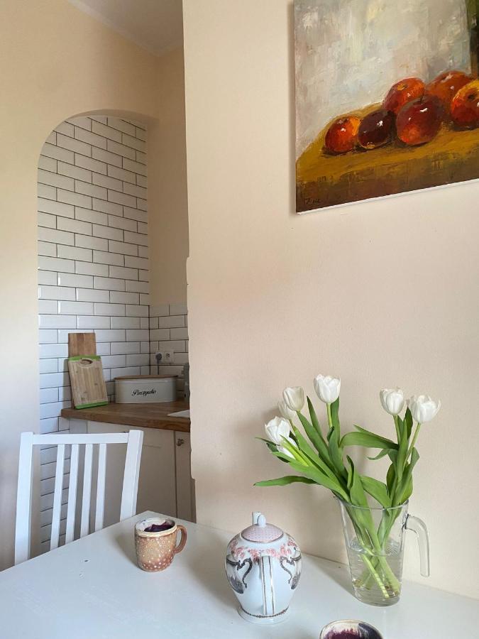 Nad Mlynowka Apartment Opole Ngoại thất bức ảnh